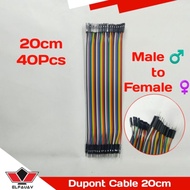 40PCS JUMPER CABLE 20CM MALE TO FEMALE F TO M CABLEDupont