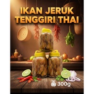 Ikan jeruk tenggiri/ ikan tenggiri thai/ikan masin thai
