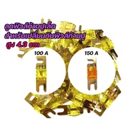 100 A 150A Crab Claw Fuse For Changing In The Cylinder Height 4.3 cm.