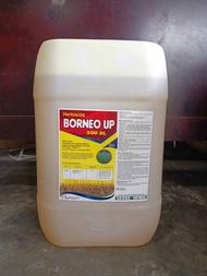 HERBISIDA BORNEO UP 500SL DIRIGEN 20L