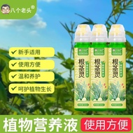 Home Life Root Spirit Plant Nutrient Solution Dilute-Free Green Dill Fortune Tree Special Fertilizer