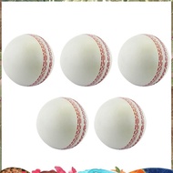 Sports Cricket, Training Cricket, Sports Wind Swing Rebound  Cricket, Elastic Decompression Ball