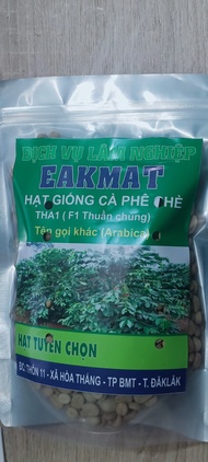 500gram hạt giống cà phê chè (cà phê Arabica)