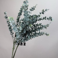 Art Flower Eucalyptus Green Plant Leaves Money Leaves Wedding Home Decoration Cloth Exhibition Decor