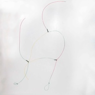 PERAMBUT BOTTOM 50-LB- 2 MATA / 3 MATA Pancing Apollo style Leader Line perambut saja tidak sekali m