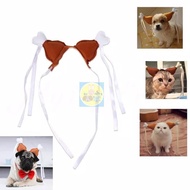 Dog costume and cat costume PET4055