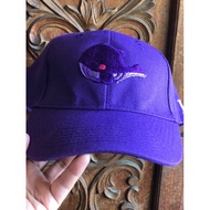 BTS TINYTAN PURPLE WHALE Cap Embroidered