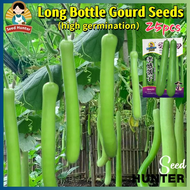 Fresh Super Long Bottle Gourd Plant Seeds for Planting Vegetables (Fast Growing 25 Seed) Long Bottle