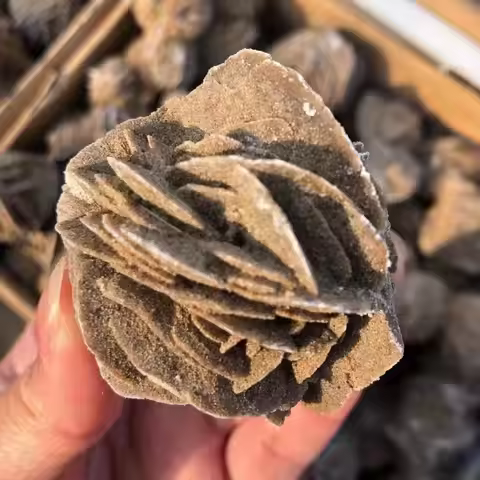 Natural Beautiful Quartz Desert Rose Crystal Mineral Selenite Raw Stones Specimens Rough Gem Adenium