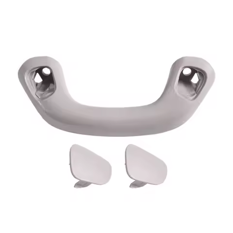 Super Sale 74680-60010-A0 Door B-Pillar Handle Roof Grab Handle with Lid for Toyota 4Runner Prado Le