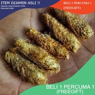 P•S🔥Kepompong Emas / Besi Kuning ASLI‼️