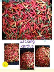 cabai rawit/ Lombok / cabe rawit merah murah segar  1 kg PROMO