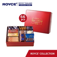 ROYCE Collection รอยซ์ คอลเลคชั่น