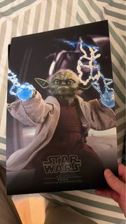 Star Wars Hot Toys MMS495 Yoda 1/6 珍藏人偶