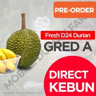 [ISI ONLY]   Fresh D24 Gred A Durian