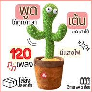 [พร้อมส่ง ส่งจากกทม.] พูดถึงกระบองเพชร กระบองเพชร 0_3 พืชพูดได้ ของเล่นเด็ก พูดถึงกระบองเพชร กระบองเ