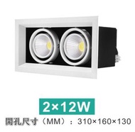 CW - LED天花筒燈【2*12W】【白光】