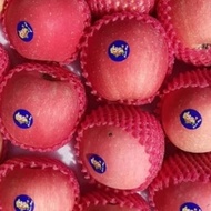 buah apel fuji usa 1 kg