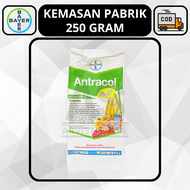 Fungisida ANTRACOL 70 WP + Zinc 250 Gram Bayer Propineb