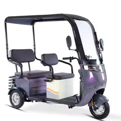 Wholesale 800W Electric Tricycle E-Bike Family Use 3 Wheel Electric Bicycle Electric Pedicab for Eld