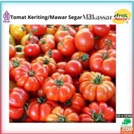 Tomat Keriting Merah,Tomat Keriting segar,sayur makassar,Tomat Keriting makassar,Tomat Segar segar,T