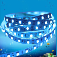 ไฟ LED เส้น Strip 12v 5050 60 เม็ด / เมตร 5 M แบบกันฝ มีกาว3M IP65 ไฟเส้นไฟ 12v ไฟ LED ไฟตกแต่งไฟติด