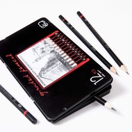 Sketching Pencil Set 12pcs Sketch Drawing Pencil Set Sketch 2H-8B Drawing Pencil Set Painting Pencil