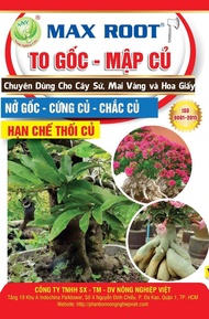 PHÂN BÓN LÁ NPK 6-8-4 MAX ROOT - TO CỦ SỨ HOA GIẤY MAI VÀNG. CHAI 1L PHA ĐƯỢC 350 LÍT NƯỚC TƯỚI GỐC.