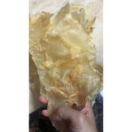 Fish Maw 鱼漂 1kg dried fish maw