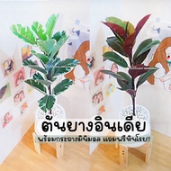 Fake Trees Indian Rubber Black Variegated With 7-Inch Pot