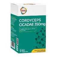 GKB Cordyceps Cicadae 350mg 虫草 金蝉花 Vegecap 60'S