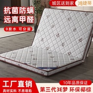 Mattress Tatami Household Rental Room Palm Coconut Mattress 0.9m Mat Hard 1.5m1.8 Mat Dormitory Fold