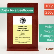 Costa Rica Beethoven กาแฟคอสตาริกาบีโธเฟน