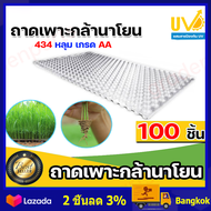 ถาดเพาะกล้านาโยน 434 หลุม มีให้เลือกซื้อ 1-700 ชิ้น ถาดนาโยน ถาดเพาะปลูก ถาดเพาะกล้า ถาดเพาะนาโยน เพ