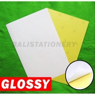 Stars Sticker Chromo Cromo Stiker Bontak Stiker Inkjet Glossy CAMEL F4
