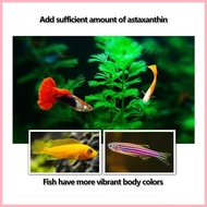 ✔ ◫ Fish Food Premium Goldfish Food Pellets Color Enhancing Fish Food Discus Fish Food