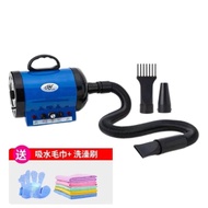Hair Dryer Dog Hair Dryer Dog Hair Dryer Dog20251123