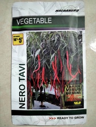 Benih Cabe Merah Keriting NERO TAVI 15 Gram (3000 biji) - Bibit Cabai NERO TAVI - Cmk NERO TAVI