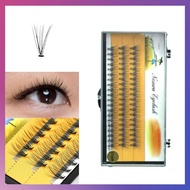 Nesura 10D Effect Curl D Super Natural Ultra Soft 10mm False Eyelash Extension