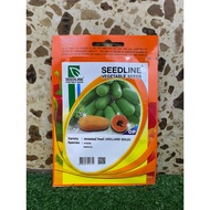 Benih Betik Sekaki HOLLAND GOLD Cap Seedline (10 biji)