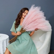 Artificial Plants Faux Pampas Grass 100/80/60/50Pcs/30pcs/20pcs/15pcs/10pcs/5pcs/1pc 55CM / 97CM Pin