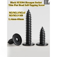 [HL-ZGLS] Black SUS304, Hexagon Socket Thin Flat Head Self-Tapping Screw, M2/M2.3/M2.6/M3/M3.5-M8, H