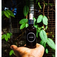 Ayurveda Treatment Hair Oil