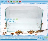 【魚店亂亂賣】ISTA.Mr.Aqu聯合UP 1.5尺45×30×30cm高透明度開放缸一尺半玻璃魚缸台製