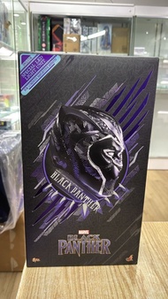 (N)開封品 Hottoys MMS470 Black Panther 黑豹
