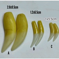 Acrylic Taring (Taring palsu) Replica Wolf Tooth