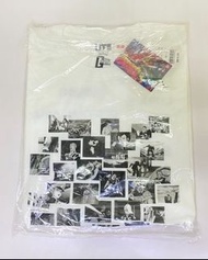 UNIQLO 台灣 正版 鋼彈40週年 聯名 UT 系列 T-shirt A款 尺碼L號  2000125300816