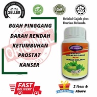 Belalai Gajah Plus Durian belanda Capsule original isi 100 Kapsul Ready