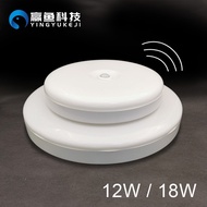 Led Induction Ceiling Light Voice Control Intelligent Induction Light Staircase Aisle Light Human Ra