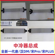 Biadihan DM Intercooler Assembly Don DM Air Conditioning Water Tank Song PLUS Song Pro Engine Water 